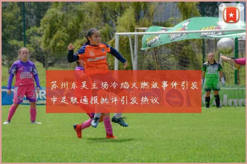 苏州东吴主场冷焰火燃放事件引发中足联通报批评引发热议